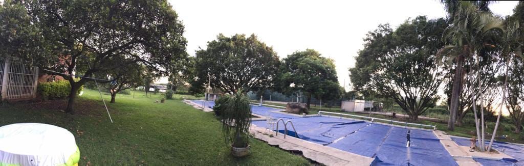 8 de 19
