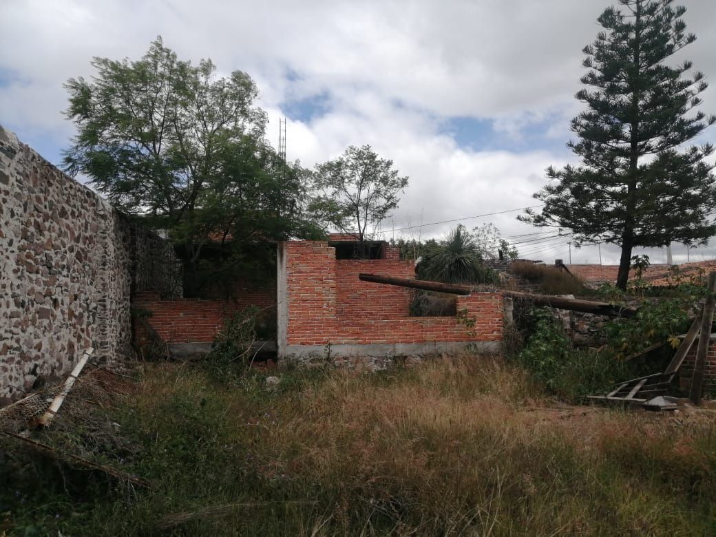 7 de 13