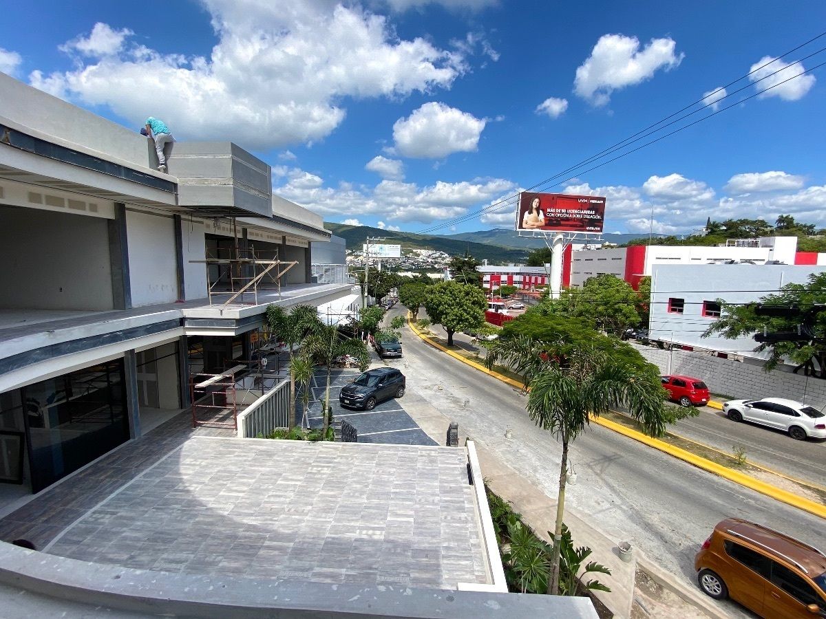 6 de 11
