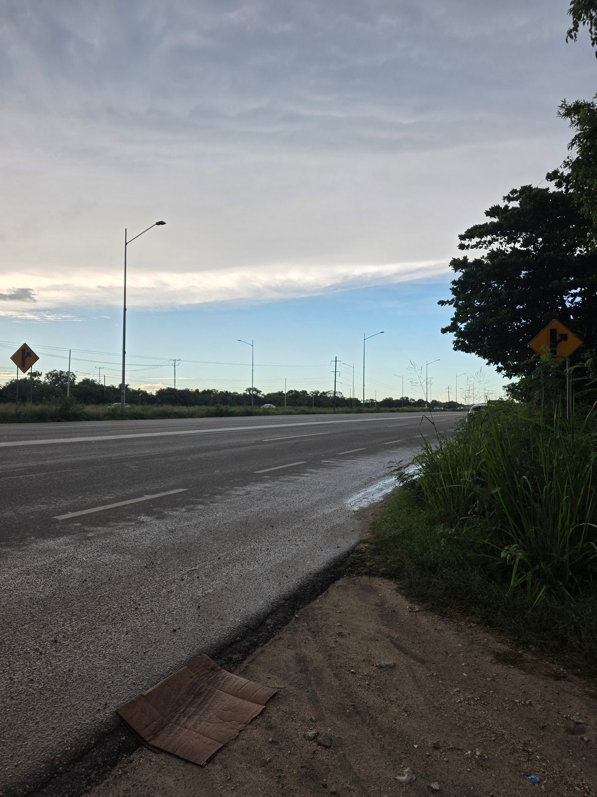 Terreno sobre carretera Mérida - Progreso - foto 5