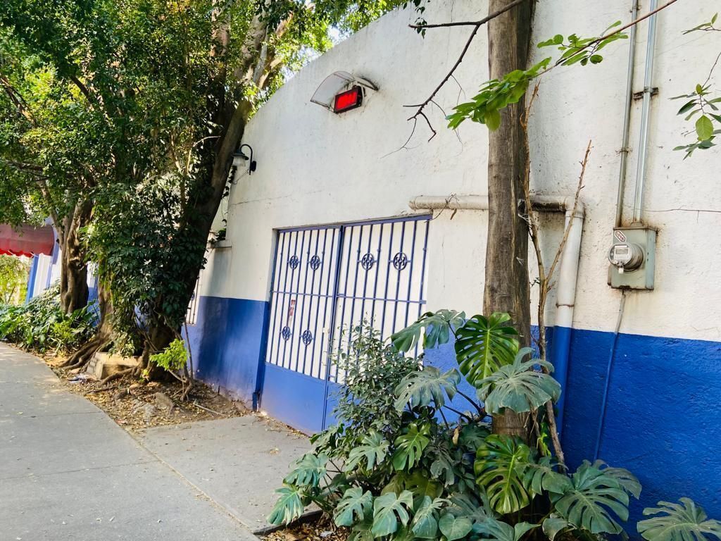 5 de 19