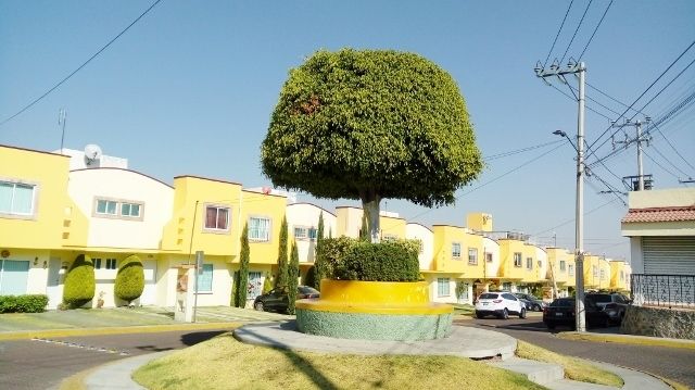 1 de 24
