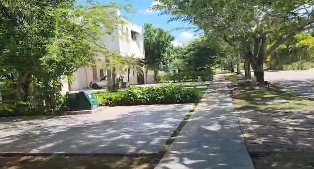 Imagen real de terrenos colindantes