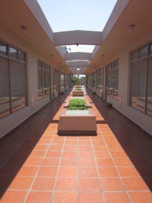3 de 5