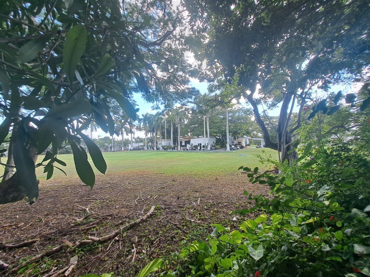 4 de 31