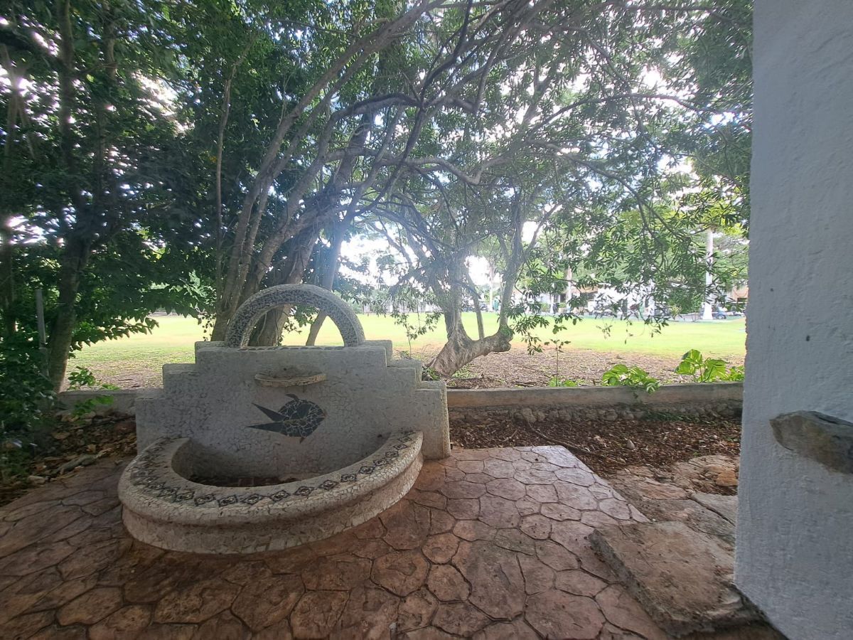5 de 31