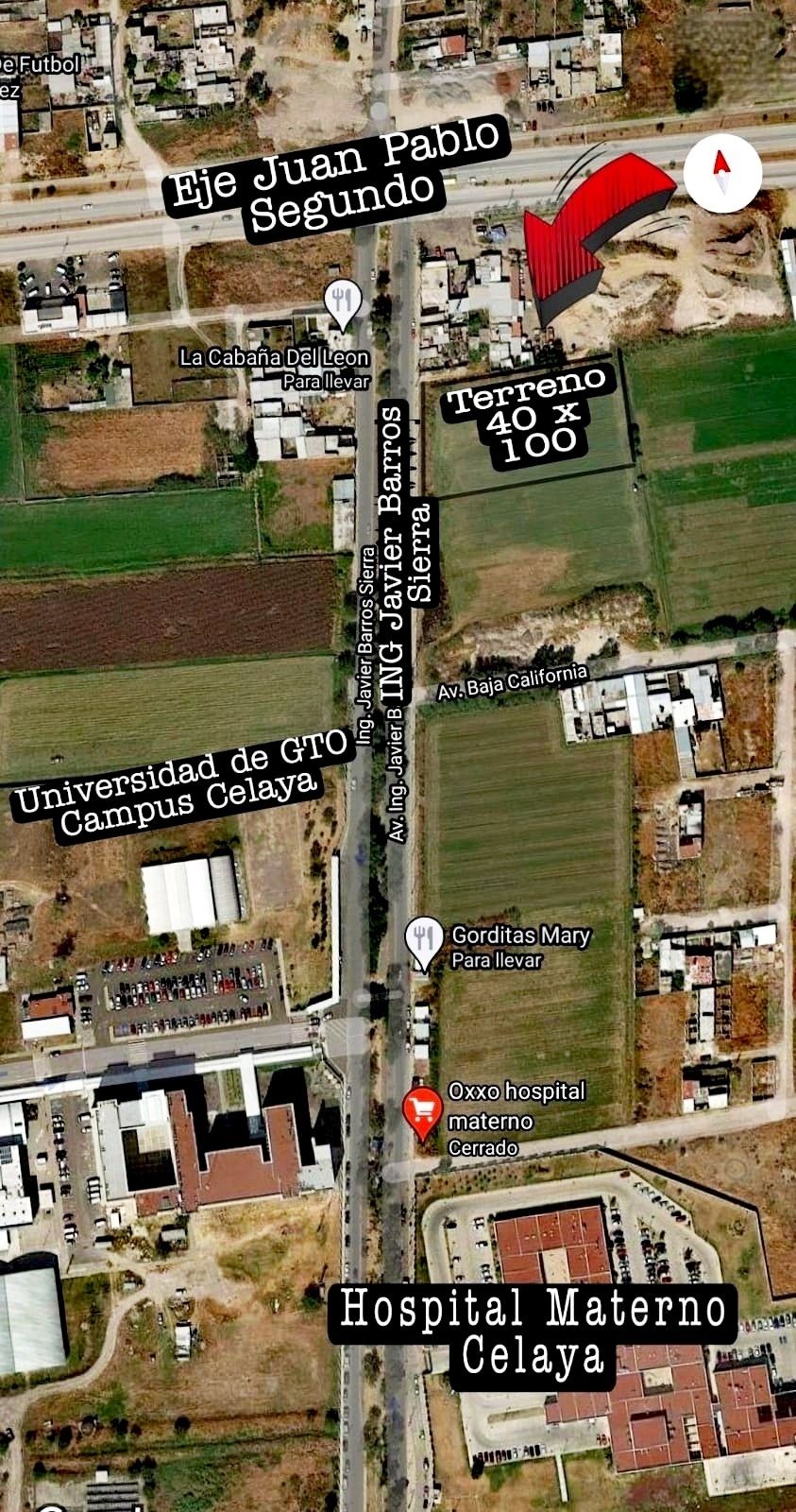 3 de 13