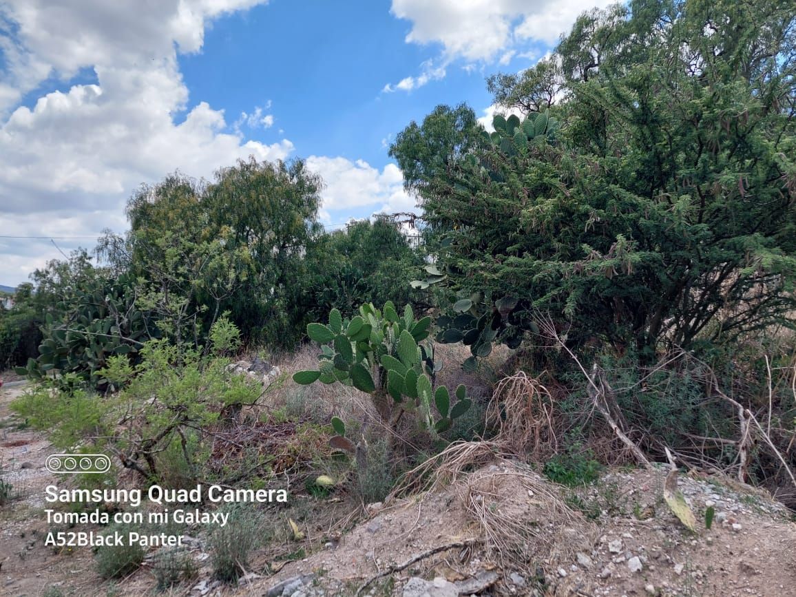 Terreno en Tianguistengo, Tepeji del Río de Ocampo, foto 8 de 17