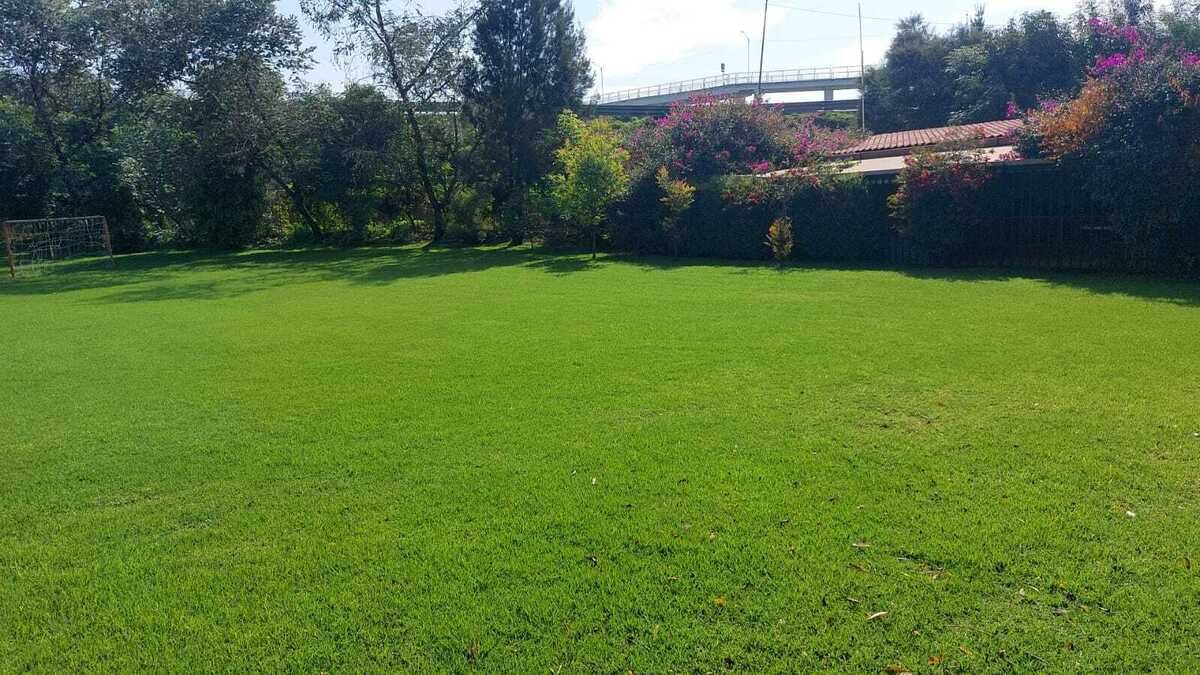 2 de 29