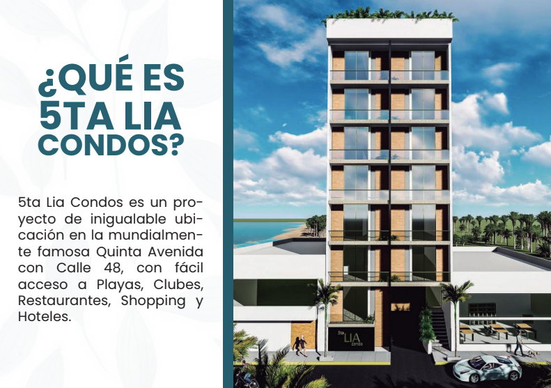 12 de 17