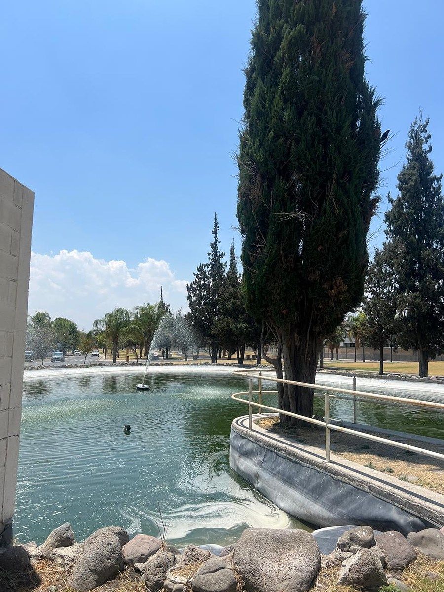 Casa en Sonterra, Querétaro, foto 42 de 42