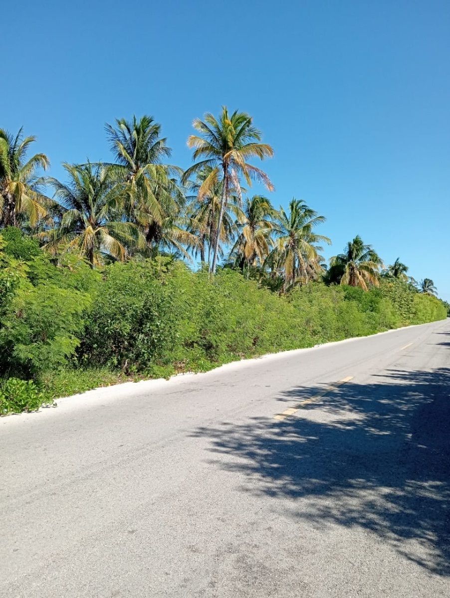 200 ML en San Crisanto