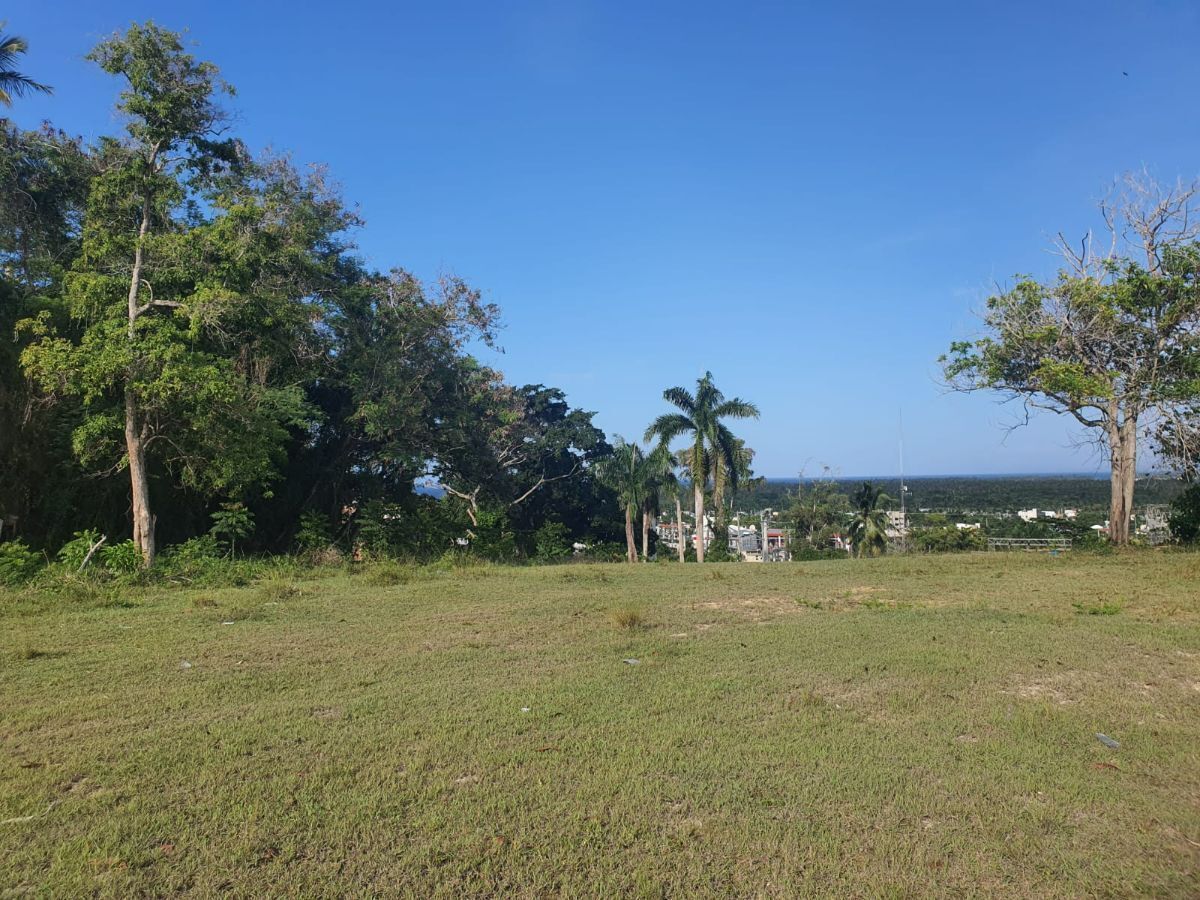 6 de 26