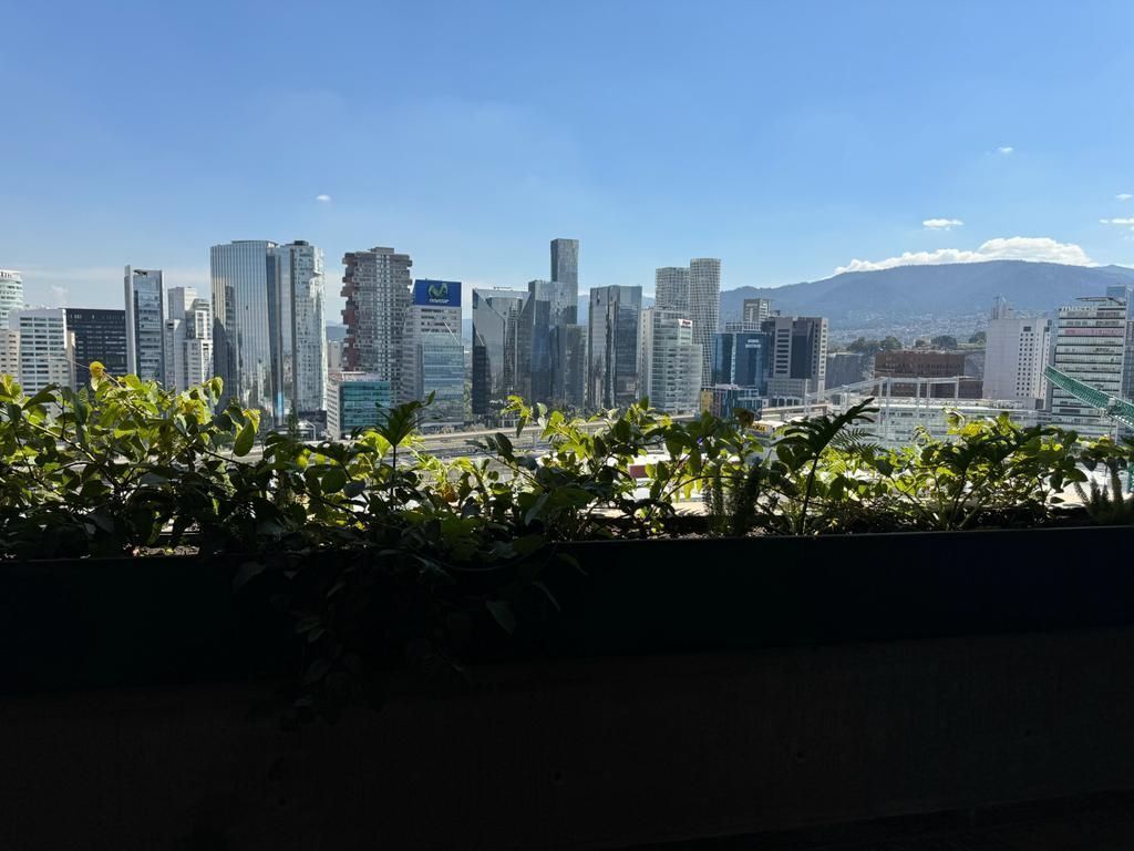 4 de 15