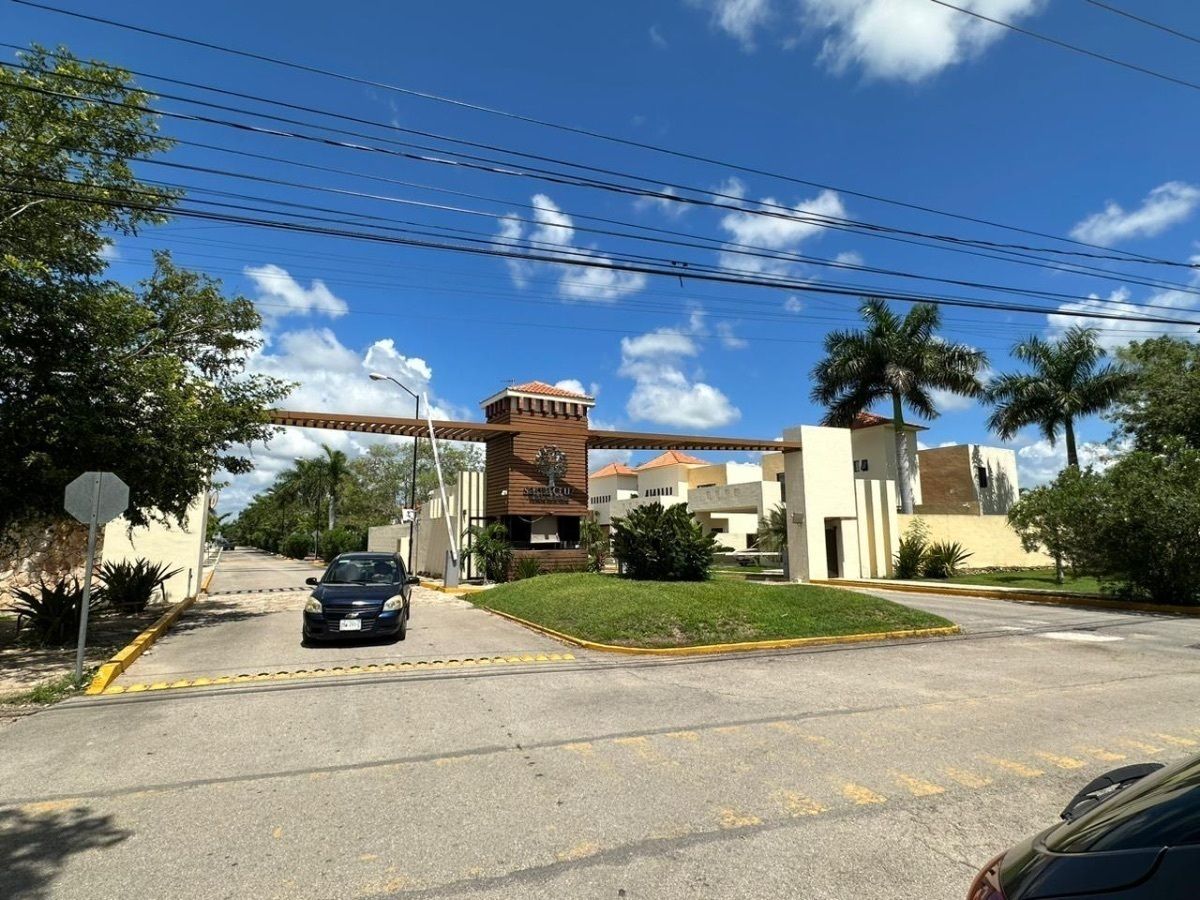 15 de 46