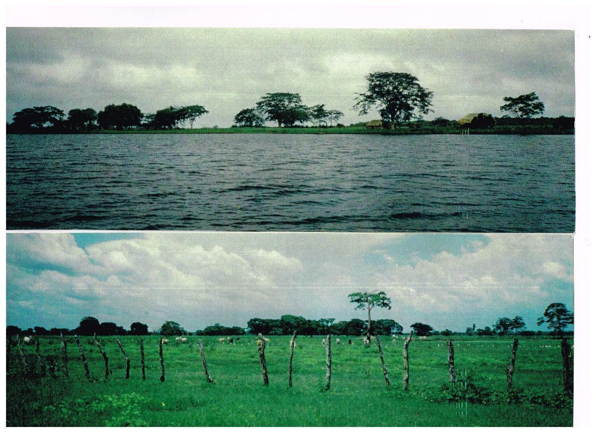 1 de 22: VISTA DEL RIO CANDELARIA Y RANCHO