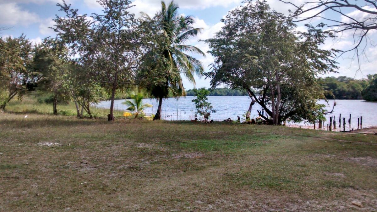 5 de 22: VISTA DEL RIO CANDELARIA