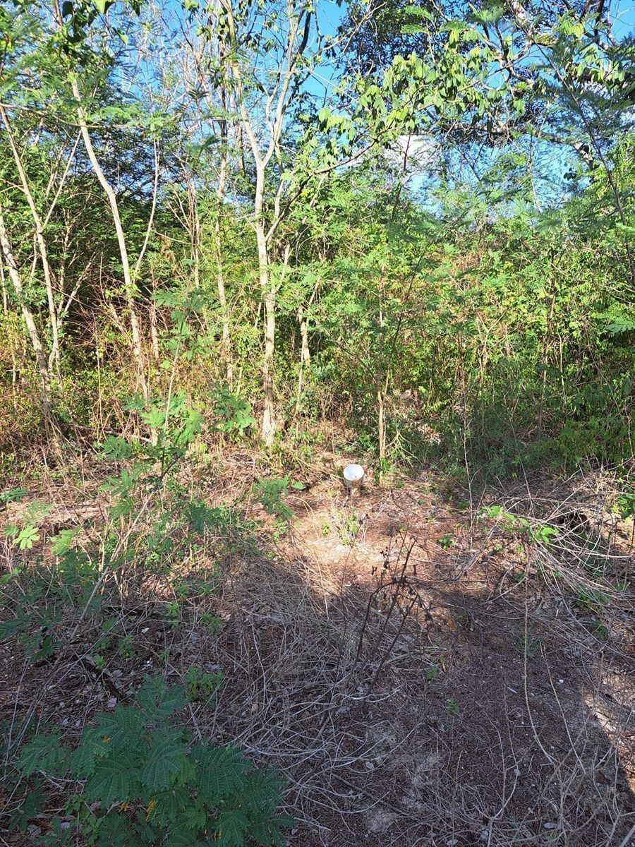 4 de 5