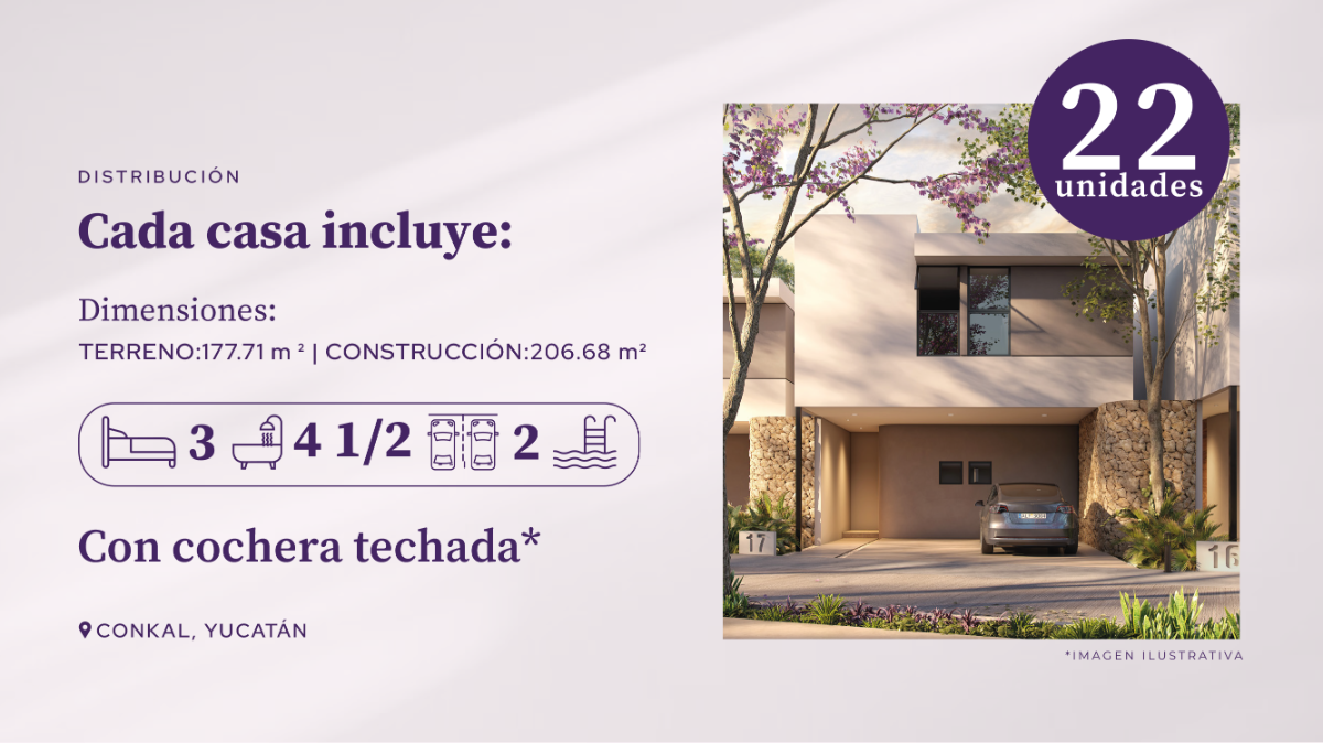 33 de 42
