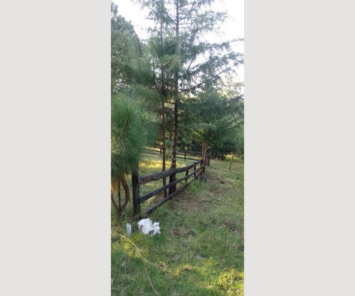 TERRENO EN VENTA MAZAMITLA - foto 2