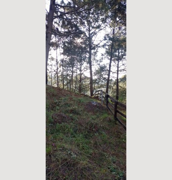 TERRENO EN VENTA MAZAMITLA - foto 3