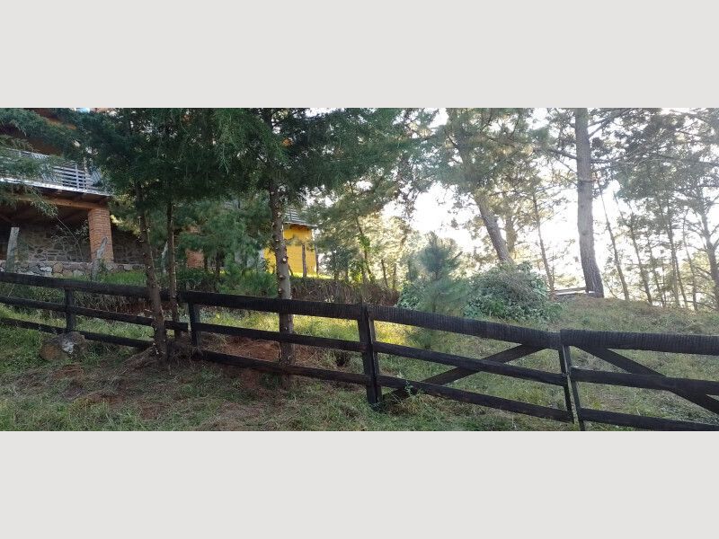 TERRENO EN VENTA MAZAMITLA - foto 4