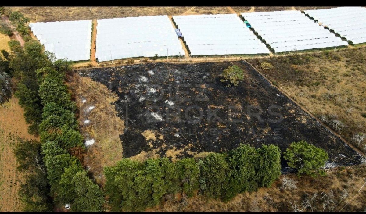 Terreno en El Zapatero Mazamitla Jalisco - foto 3