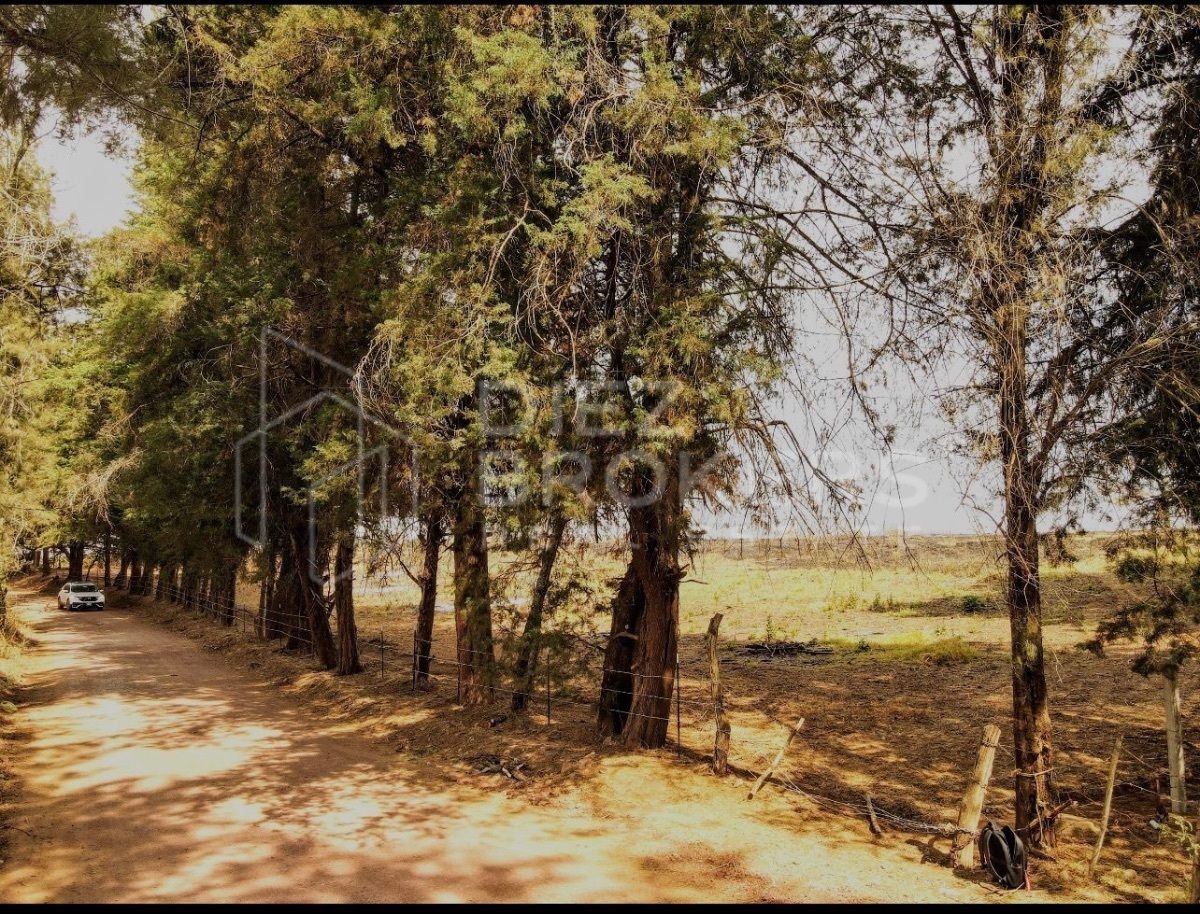 Terreno en El Zapatero Mazamitla Jalisco - foto 4