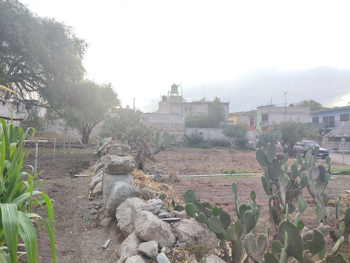 Lot in Colón Centro, Colón, photo 3 of 7