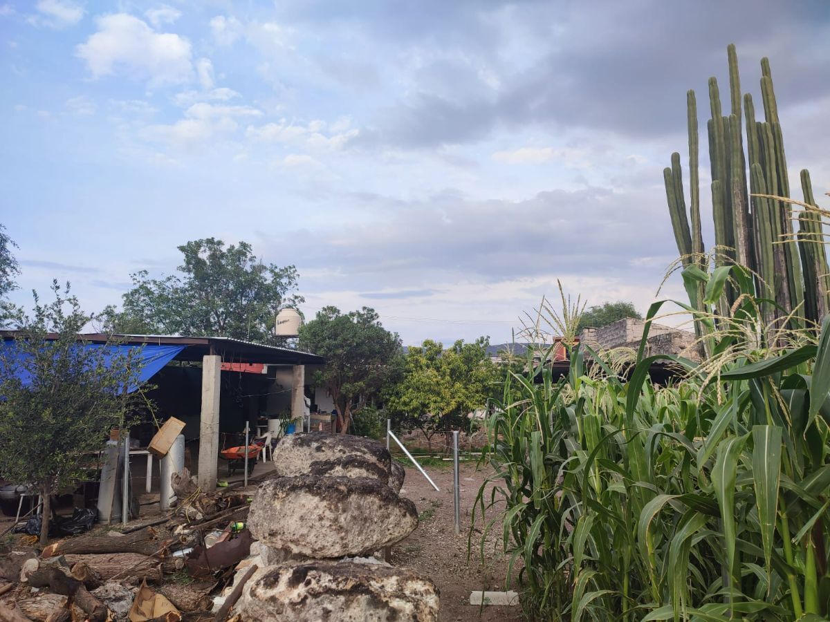 Lot in Colón Centro, Colón, photo 4 of 7