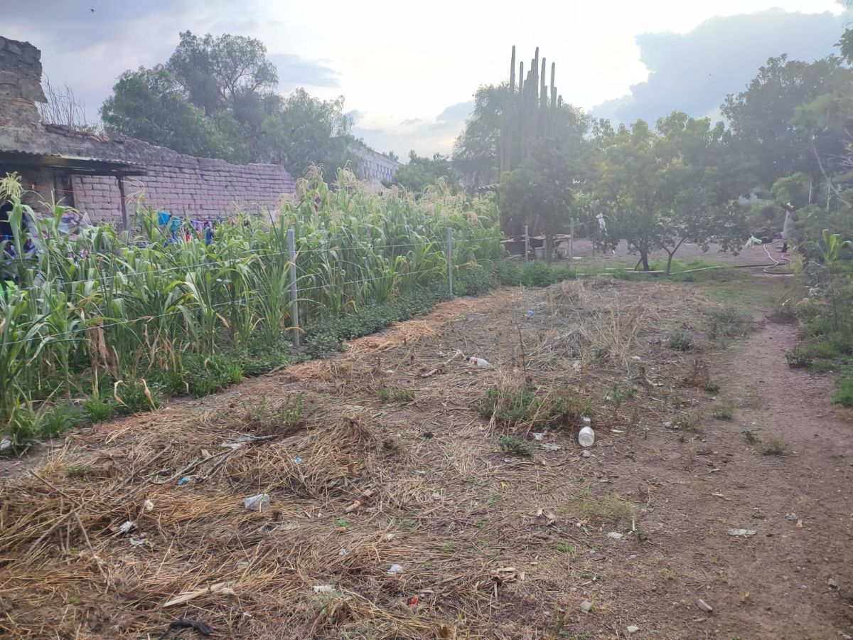 Lot in Colón Centro, Colón, photo 5 of 7