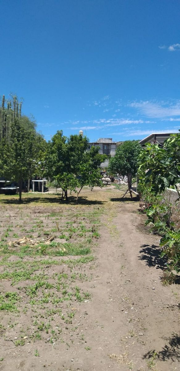 Lot in Colón Centro, Colón, photo 6 of 7