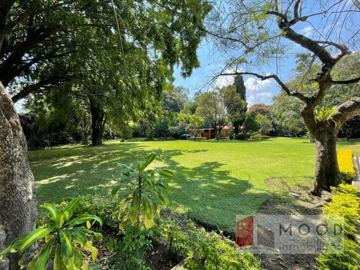 https://assets.easybroker.com/property_images/4134177/70669649/EB-OW4177.jpeg?version=1706159420