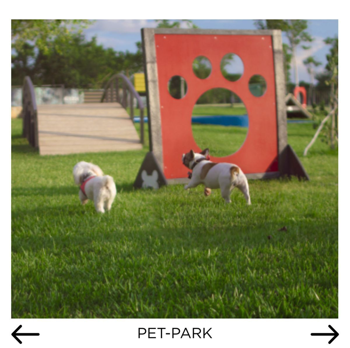 7 de 14: Pet Park