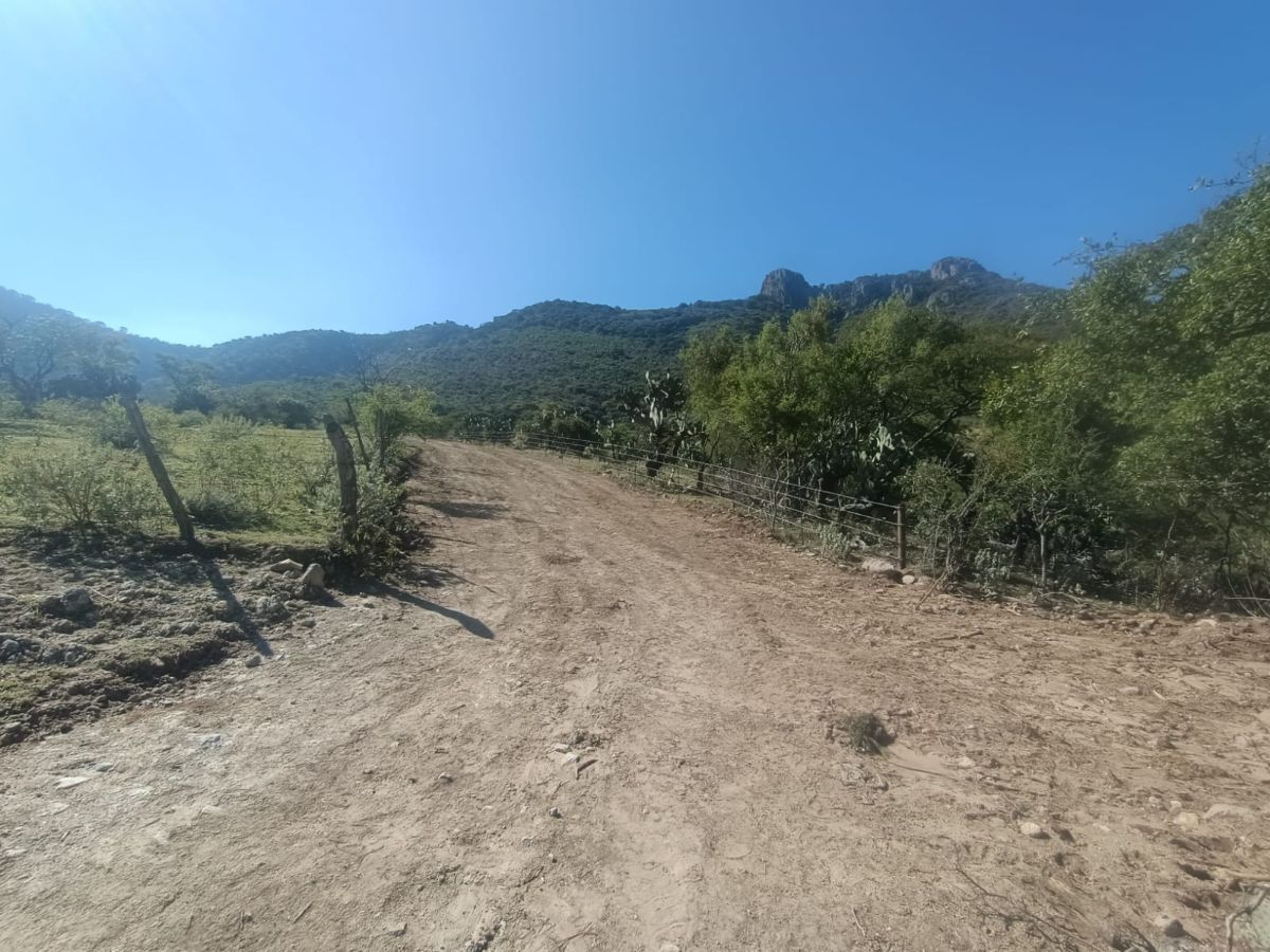 5 de 10