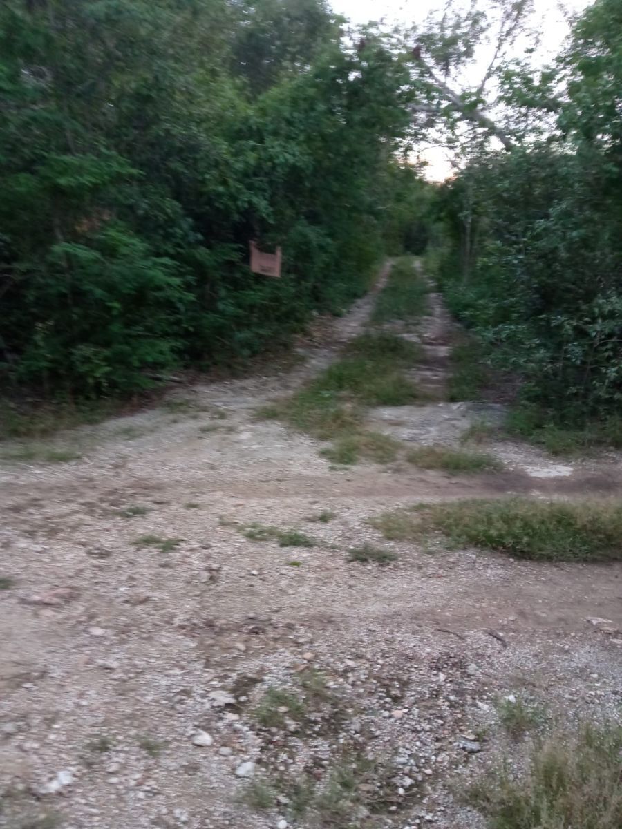 3 de 8