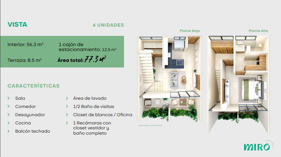 8 de 13: MIRO: MODELO VISTA | DISTRIBUCIÓN