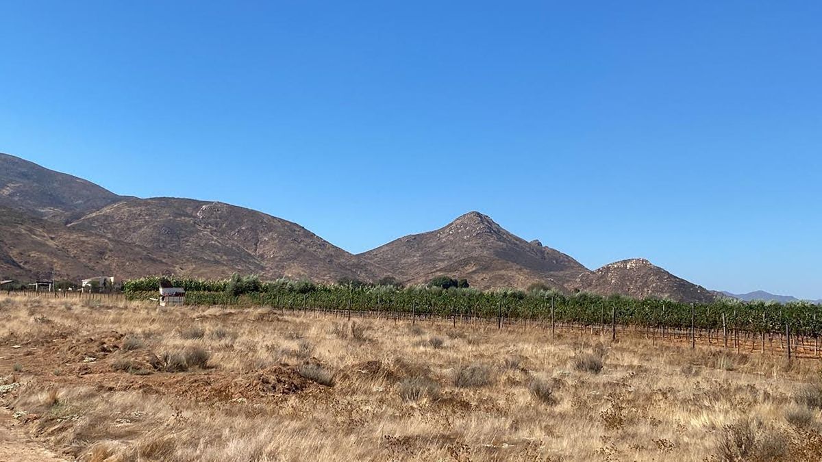 Terreno en Venta Valle de Guadalupe Ensenada