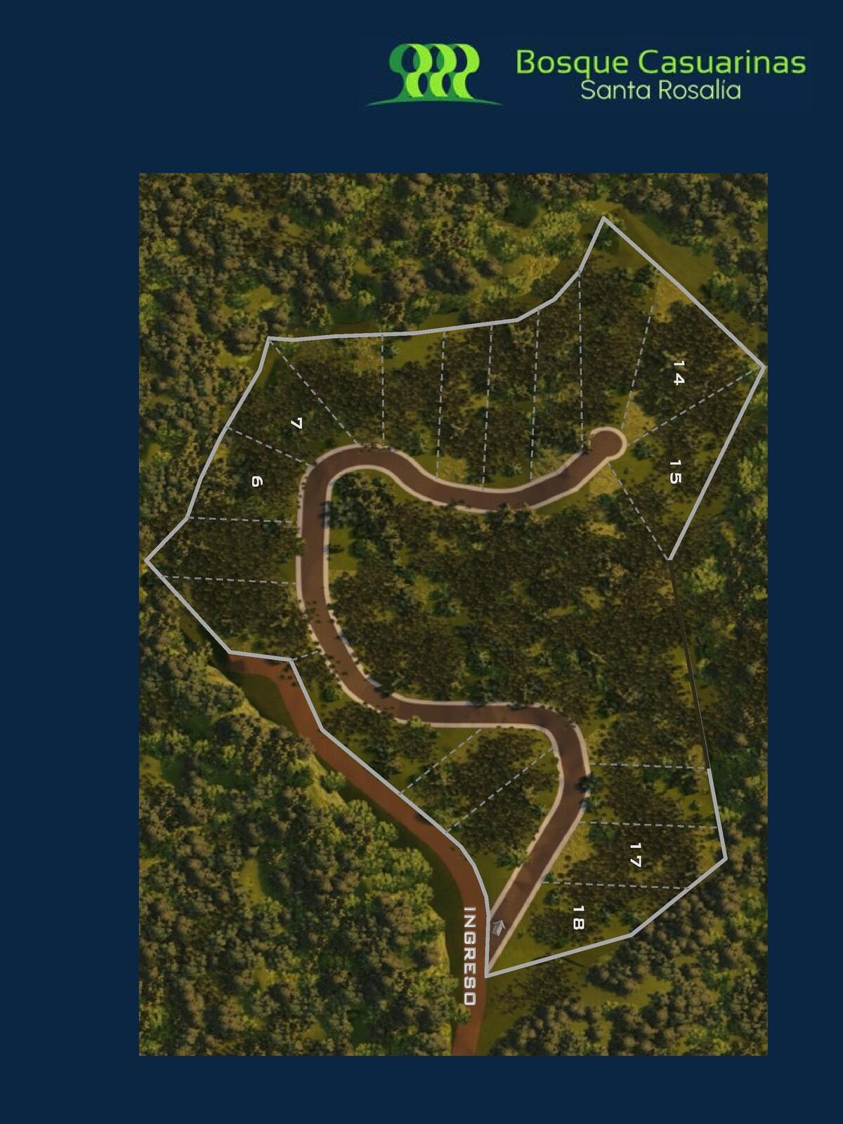2 de 11