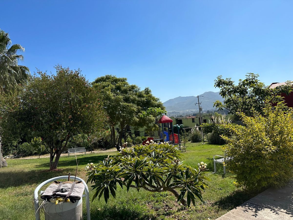 25 de 28: AREAS VERDES