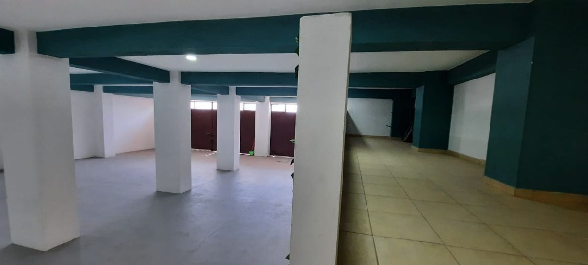 23 de 26