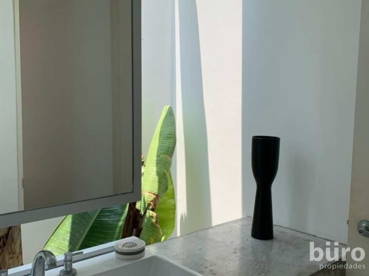 18 de 24: Baño con un pequeño jardín