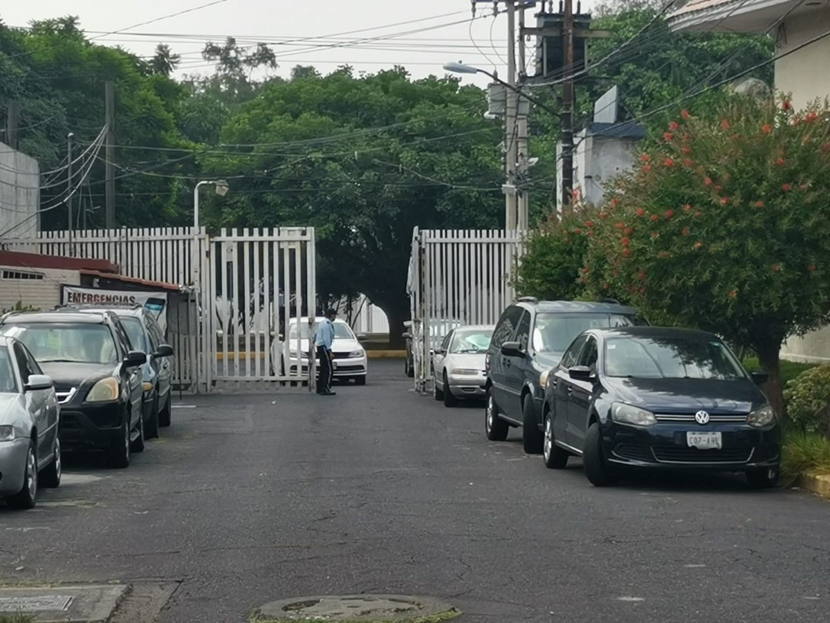 5 de 5