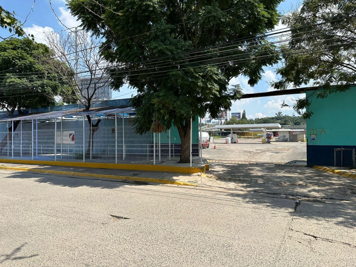 1 de 24