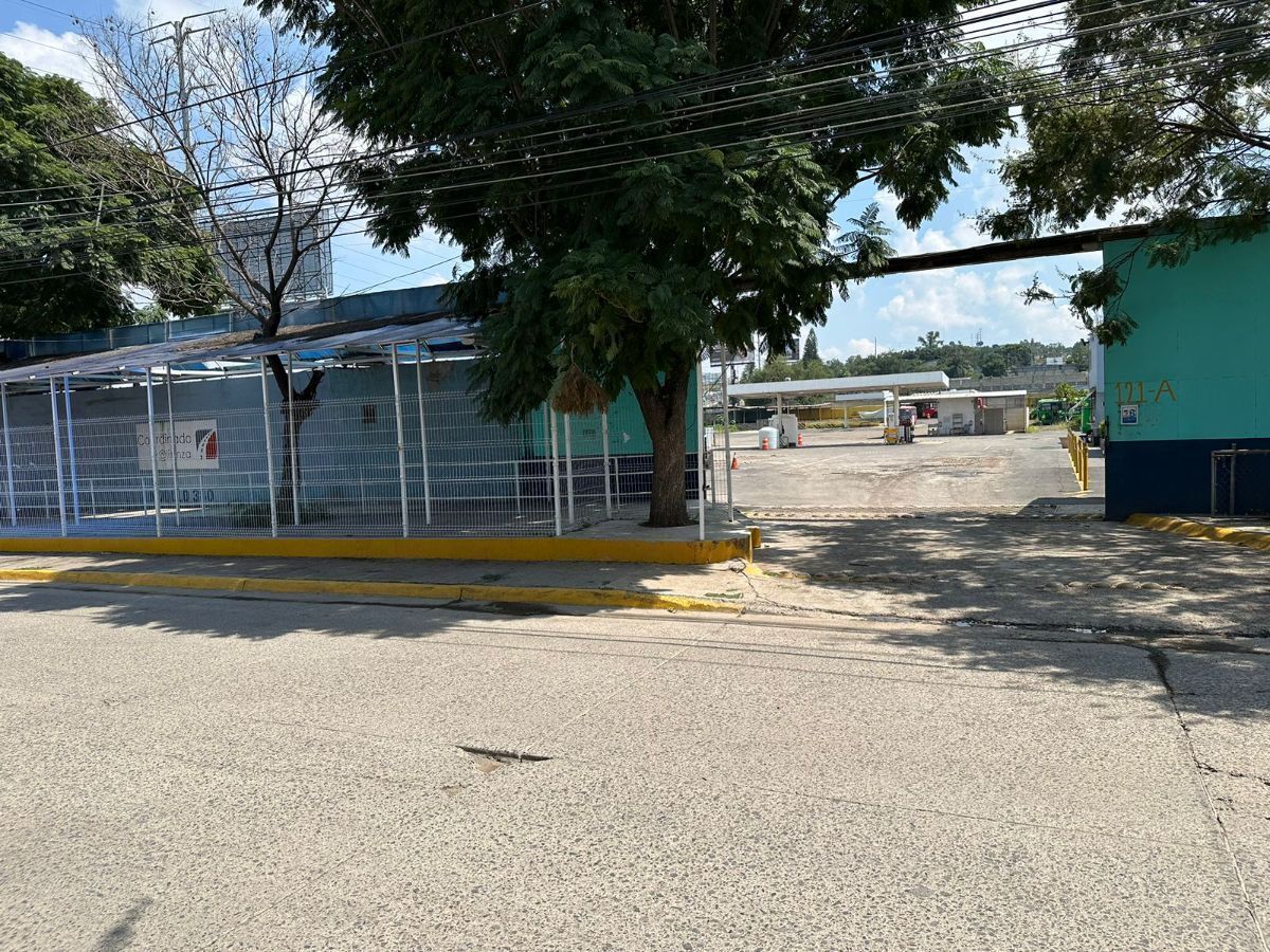 3 de 24