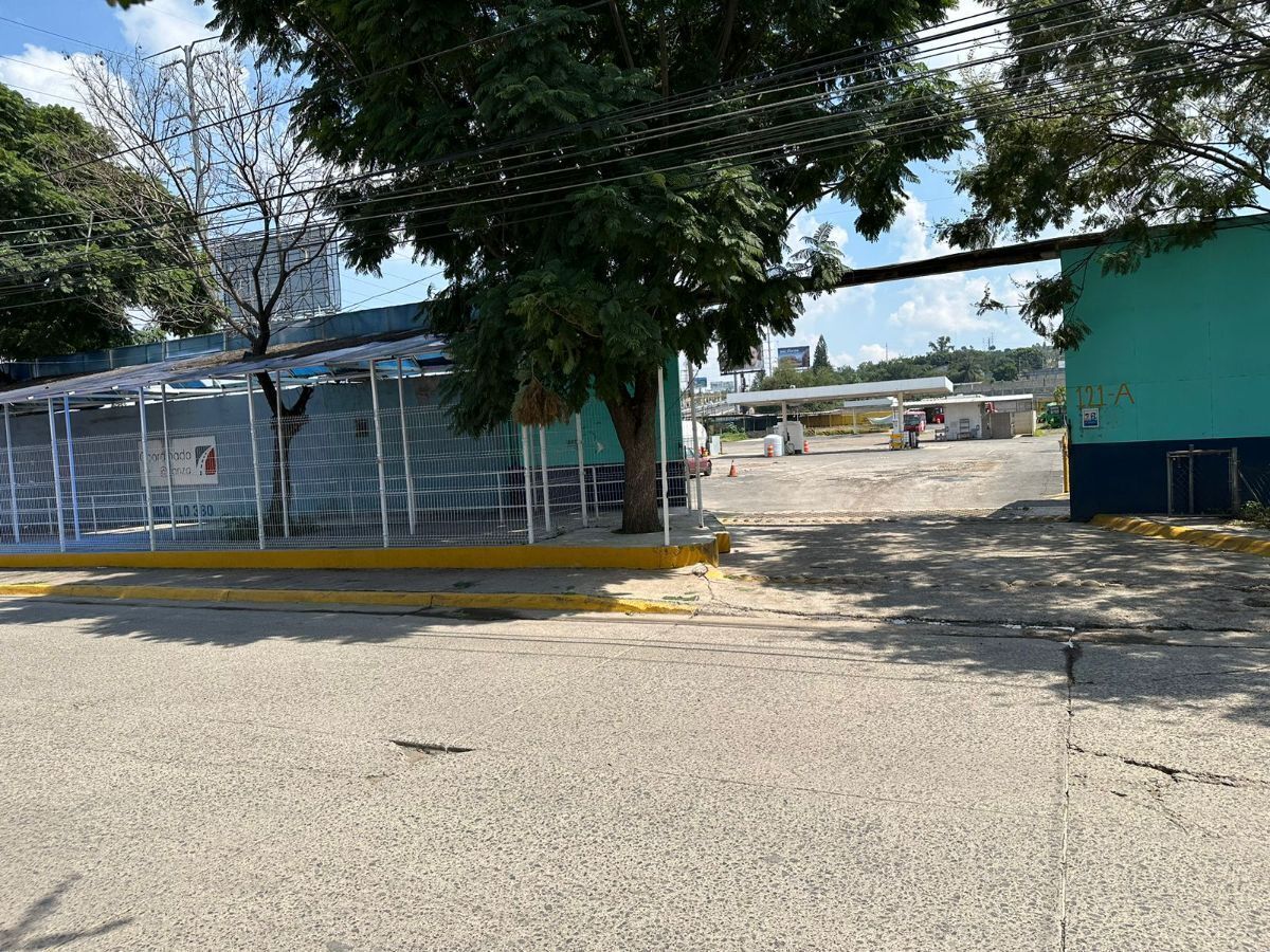 4 de 24
