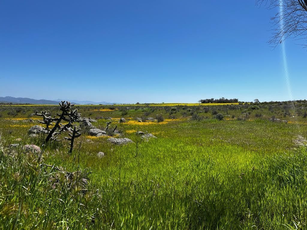 5 terrenos campestres en venta de 2,500m en Valle de Guadalupe