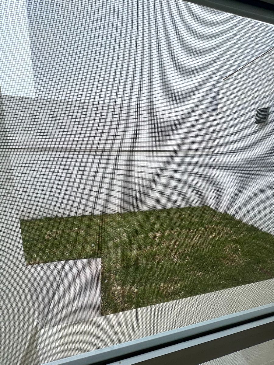 3 de 13: PATIO TRASERO