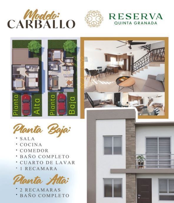 3 de 26