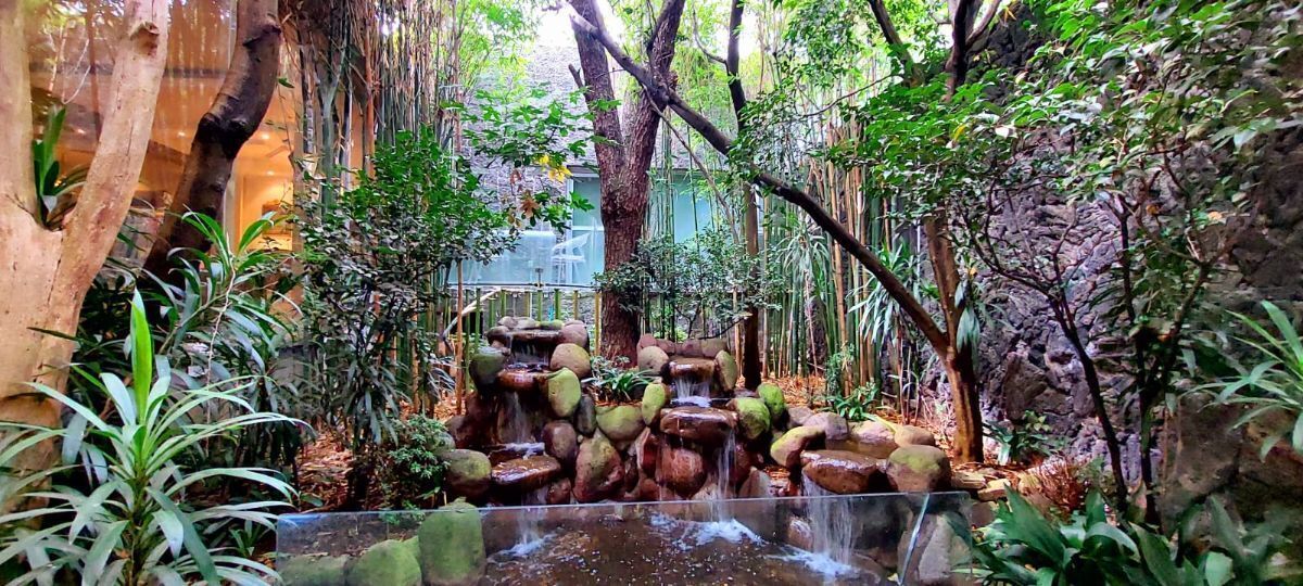 2 de 49: Jardin interior estancia con cascada